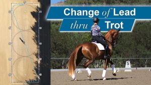 Split image: left side shows a diagram of a horse’s path on an arena; right side shows a rider in black-and-white attire on a chestnut horse performing a change of lead. Text reads: Learn to ride through the trot.