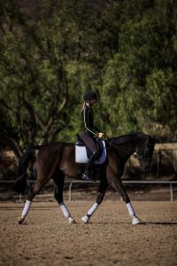 A person wearing a helmet and riding attire is riding a dark horse with white leg wraps in an outdoor sandy arena, with trees and sunlight in the background.
