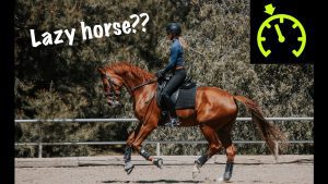A person in a helmet rides a chestnut horse in an outdoor arena. Text reads Lazy horse?? with a green speedometer graphic in the top right corner. Trees and a wooden fence are in the background.