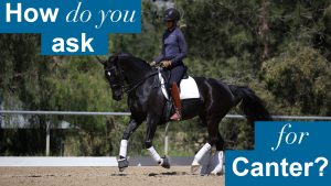 A person rides a black horse in an outdoor arena, wearing a helmet and boots. Blue and white text on the image reads, How do you ask horse to canter? Trees are visible in the background.