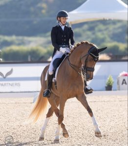 A rider in formal equestrian attire and helmet guides a chestnut horse with braided mane during a dressage event in an outdoor arena, where Free Training sessions are highlighted, with blurred greenery and a white tent in the background.