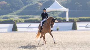 A rider in formal dressage attire guides a chestnut horse through a precise movement in an outdoor arena, with greenery and a white event tent nearby during a Free Training session.