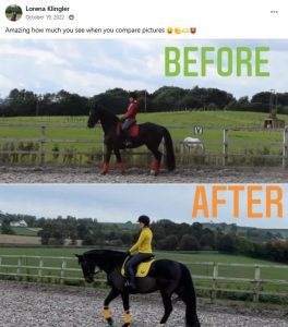 A split image created with Elementor shows a person riding a black horse. The top half, labeled BEFORE, has the rider in red gear; the AFTER half shows yellow gear and better horse posture. Perfect for an Elementor Loop Item display.