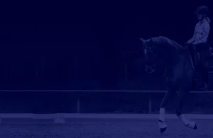 A person wearing a helmet rides a horse in an outdoor arena, performing a dressage movement. The image, filtered dark blue with minimal background details, captures the focus of a Training Scale Masterclass in progress.