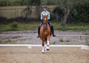 A person wearing a helmet and patterned shirt rides a brown horse in an outdoor arena, surrounded by trees and a wooden fence in the background.