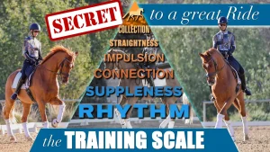 Two riders on chestnut horses perform dressage under the words: SECRET to a great ride. A pyramid shows the Dressage Training Scale, reminding you to plan your ride and master rhythm, suppleness, connection, impulsion, straightness, and collection.