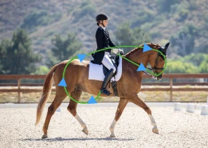 dressage rider mmindset canter training to improve balance and straightness