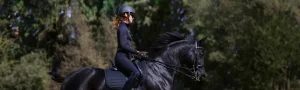 An equestrian in black riding gear and a helmet rides a black horse outdoors, green trees blurred in the background—a perfect scene inspired by Amelia’s Tack Room.
