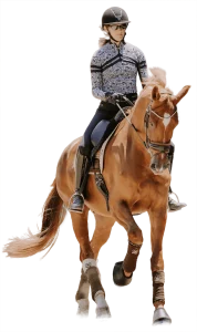 A person wearing a helmet, glasses, patterned shirt, and riding gear is riding a chestnut horse with white markings. Both are in motion, showcasing energy and focus like a 2023 fitness challenge. The horse wears protective leg gear.