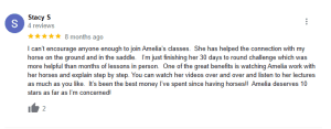 A Google review by Stacy S praises Amelia’s 30 Days to Round horse training challenge, highlighting clear step-by-step instructions, helpful videos and lectures, and calling it the best money spent on horses in 2023, rating the experience highly.