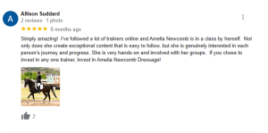A Google review by Allison Suddard gives 5 stars to Amelia Newcomb Dressage, highlighting Amelia’s expertise, involvement, and the popular 30 Days to Round Challenge. The review features a small photo of someone riding a black horse in an arena. Two likes.