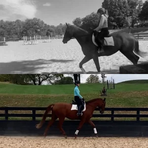 A split image captures a rider in an outdoor arena for the 30 Days Challenge. The top half is black and white; the bottom in color, highlighting a blue shirt and white leg wraps, marking progress in the 30 Days to Round journey.