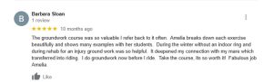 Google review by Barbara Sloan with five stars, praising Amelia and her Groundwork Essentials course for its helpfulness, clear explanations, and benefits to horse riding and rehab. The course is described as valuable and highly recommended.