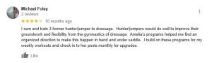 Google review by Michael Foley, 5 stars—he trains hunter/jumper horses to dressage and finds Amelia’s Groundwork Essentials programs helpful for flexibility. He checks her posts monthly for workout upgrades.