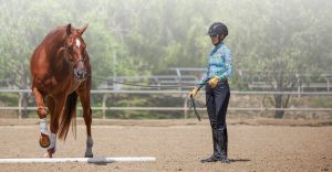 A person wearing a helmet and boots leads a chestnut horse with a white leg wrap across a sandy arena, demonstrating Groundwork Essentials as the horse steps over a white pole. Trees and a fence are visible in the background.