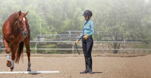 A person wearing a helmet and gloves stands in a sandy arena holding the reins of a chestnut horse, working on groundwork essentials as the horse walks forward. Trees and fencing are visible in the background.