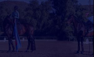 A person in equestrian gear sits on a dark horse holding a colorful flag, while another horse—ready for Groundwork Essentials—stands nearby. The scene unfolds outdoors on a sandy arena with trees and hills in the background.