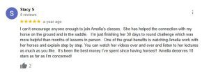 A Google review by Stacy S gives five stars and praises Amelia’s horse training classes, highlighting personal progress, effective instruction, and mastery of groundwork essentials—calling the experience the best money spent on horses.