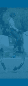 A person wearing a helmet, patterned shirt, and riding pants rides a white horse with leg wraps and a patterned saddle pad in an outdoor arena. Figures blur in the background among trees, all beneath a blue overlay.