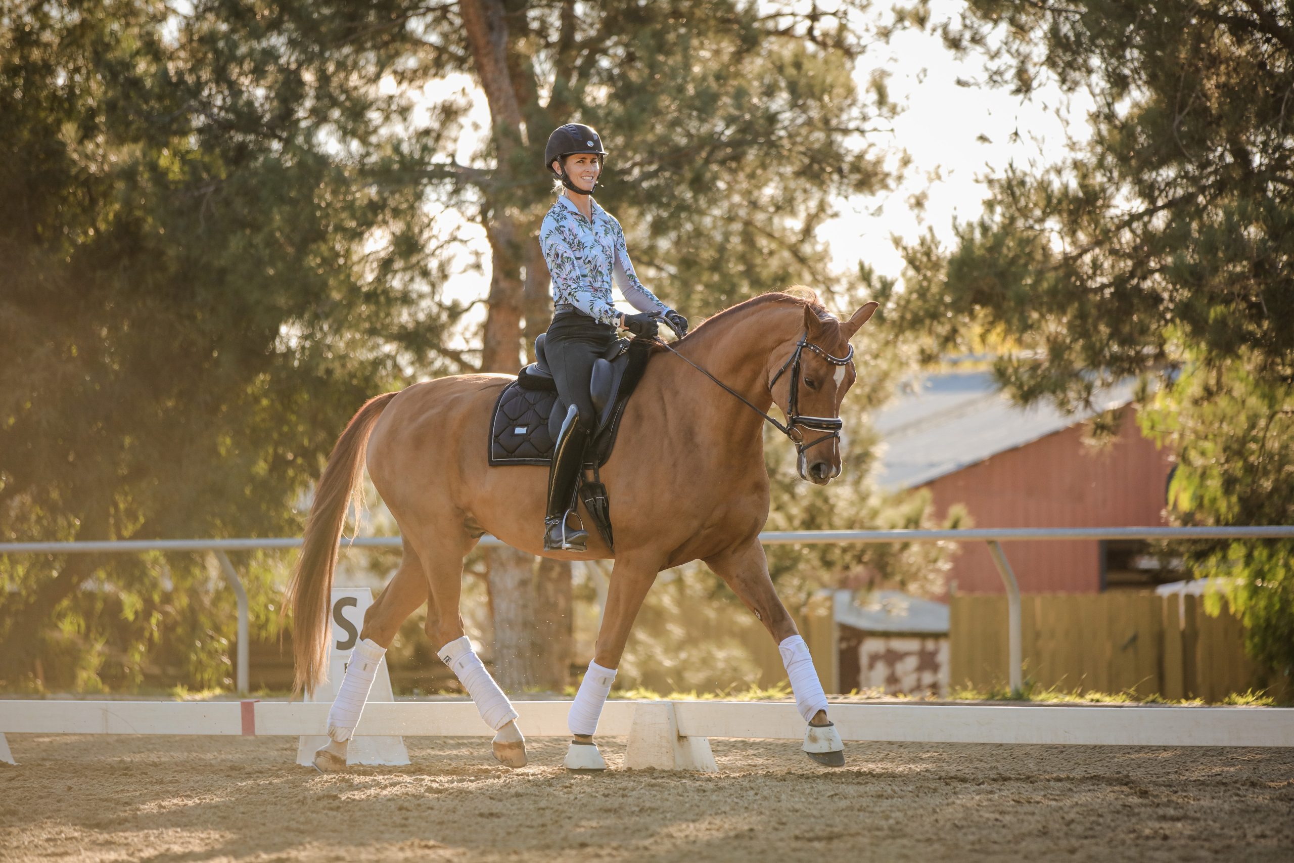 Amelia Newcomb riding a balanced trot on a chestnut dressage horse.