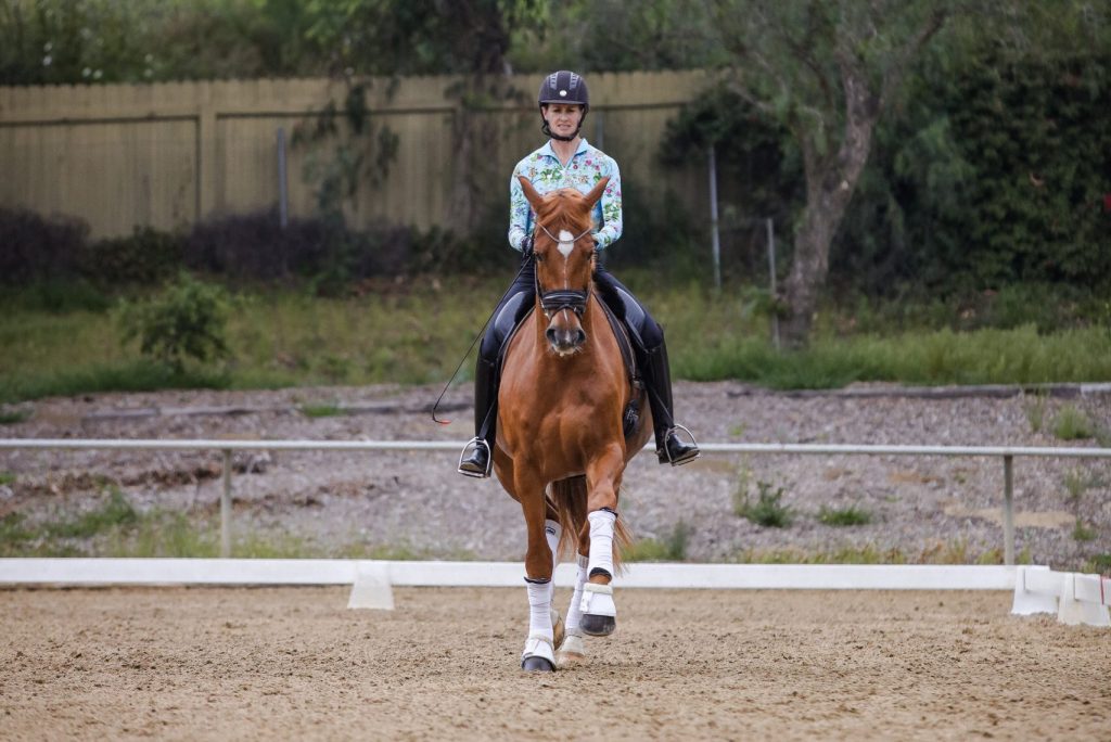 Amelia Newcomb riding a chestnut dressage horse, trotting a straight line towards the camera.