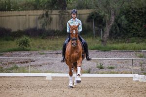 Amelia Newcomb riding a chestnut dressage horse, trotting a straight line towards the camera.