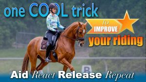 One cool trick to improve your riding. Aid, react, release, repeat.