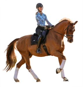 A person wearing a helmet, floral shirt, and gloves rides a chestnut horse with white leg wraps and black saddle gear. Both appear focused and move gracefully outdoors, embodying the spirit of Strides with Amelia.