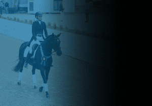 A person in equestrian attire rides a dark horse with a blue ribbon on its bridle in an arena, as spectators and event signage, including a Free Webinar promotion, are visible in the background.