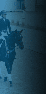 A rider in formal equestrian attire sits on a black horse with a blue ribbon on its bridle, ready to compete—just like preparing for success at our Free Webinar. Save your seat and join us for goal-setting tips!.