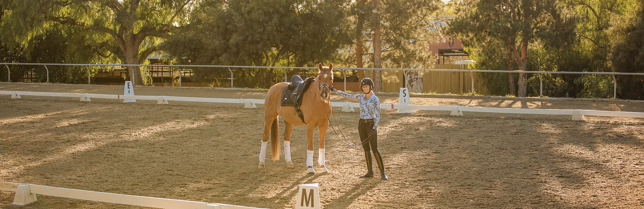 Amelia Newcomb standing in a dressage arena posing and smiling with a chestnut dressage horse.