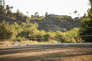 A sunlit outdoor dressage arena with sandy ground, bordered by white markers labeled “K” and “D,” surrounded by green trees and distant hills under a clear sky—perfect for Strides with Amelia's 2026 enrollment sessions.
