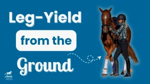 A person in riding attire walks beside a brown horse, demonstrating Leg-Yields from the ground as part of effective Horse Training. Text on a blue background reads: Leg-Yield from the Ground. A logo with a horse and rider appears in the corner.