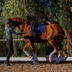 Amelia Newcomb executing a collected trot from the ground with her chestnut dressage horse.