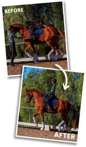 Before image of Amelia Newcomb executing a collected trot from the ground, after image of Amelia executing a collected trot on her horse.