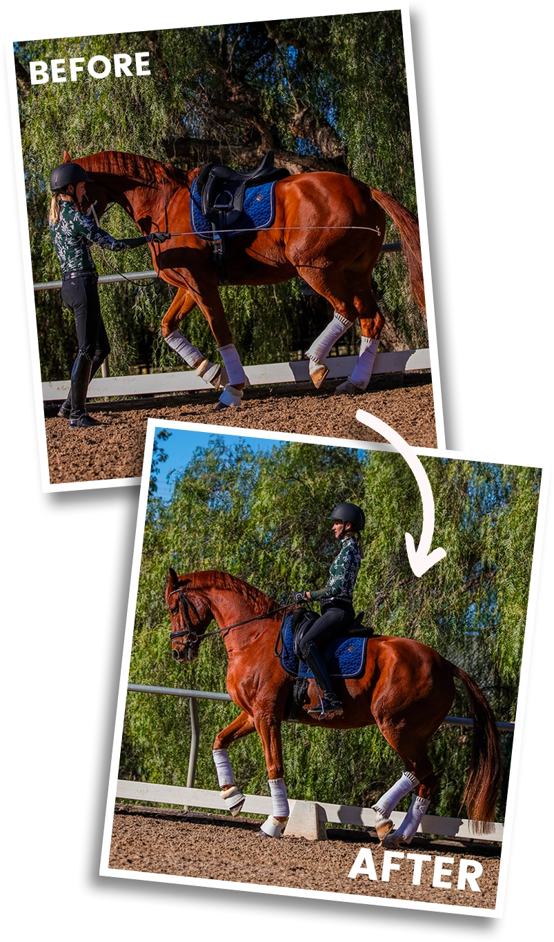 Before image of Amelia Newcomb executing a collected trot from the ground, after image of Amelia executing a collected trot on her horse.