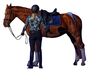 Outline of Amelia practicing groundwork with her chestnut dressage horse.