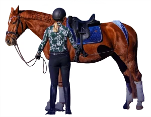 Outline of Amelia practicing groundwork with her chestnut dressage horse.