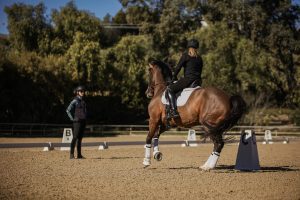 Amelia Newcomb teaching a dressage student a pirouette.