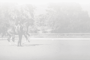 Amelia Newcomb teaching a dressage student.