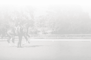 Amelia Newcomb teaching a dressage student.