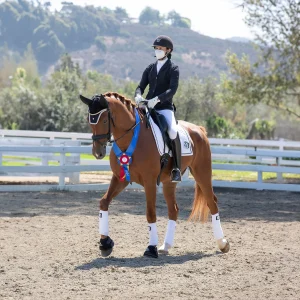 A person in equestrian attire rides a brown horse wearing a blue and red ribbon, showing skill on a Blue Ribbon Course. The rider and horse are in an outdoor arena with white fencing and trees in the background.