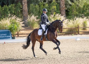 A rider in formal equestrian attire competes in a Training Level dressage test on a dark bay horse, performing gracefully on a sandy Blue Ribbon Course with a wooden fence, greenery, and palm trees in the background.