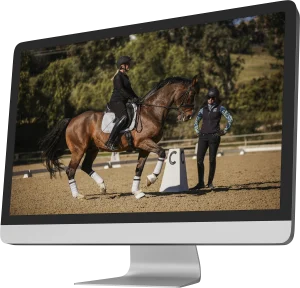Horse and rider practicing dressage fundamentals during a trot session online
