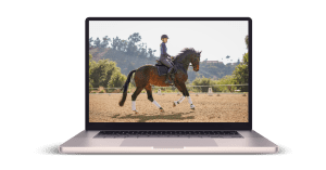 Dressage lesson focused on rider position and horse connection