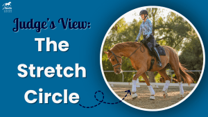 A rider guides a chestnut horse in a relaxed, low-neck stretch circle in an outdoor arena. The text reads: Judge’s View: The Stretch Circle on a blue background with a decorative arrow pointing to the photo.