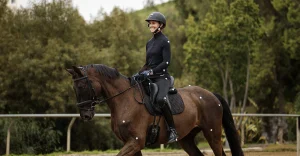 Horse and rider practicing dressage fundamentals during a trot lesson outdoors