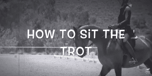 how to sit the trot