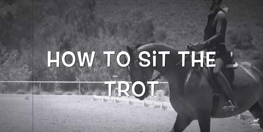 how to sit the trot