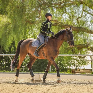 Dressage horse and rider practicing arena work in a calm frame trotting